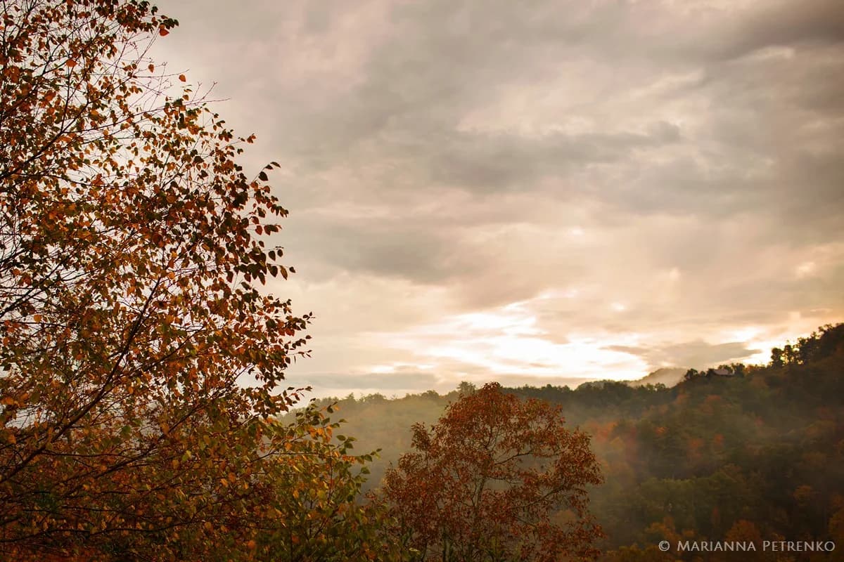 Scenic autumn foliage and misty mountain views at Moose Hollow Lodge in Pigeon Forge near the Smoky Mountains